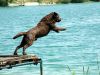 Filename=Buddy.JPG
Filesize=432KB
Dimensions=1100x825
Date added=Feb 26, 2008 Buddy.JPG