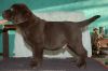Filename=F_A_Alakey005.JPG
Filesize=395KB
Dimensions=800x532
Date added=Jan 30, 2011 F_A_Alakey005.JPG