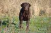 Filename=a.jpg
Filesize=657KB
Dimensions=1000x665
Date added=Jan 22, 2008 a.jpg