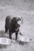 Filename=dally.jpg
Filesize=267KB
Dimensions=500x740
Date added=Oct 29, 2008 dally.jpg