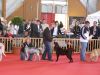Filename=dancy3.jpg
Filesize=427KB
Dimensions=800x600
Date added=May 05, 2009 dancy3.jpg