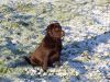 Filename=vict.JPG
Filesize=673KB
Dimensions=1984x1488
Date added=Jan 25, 2008 vict.JPG